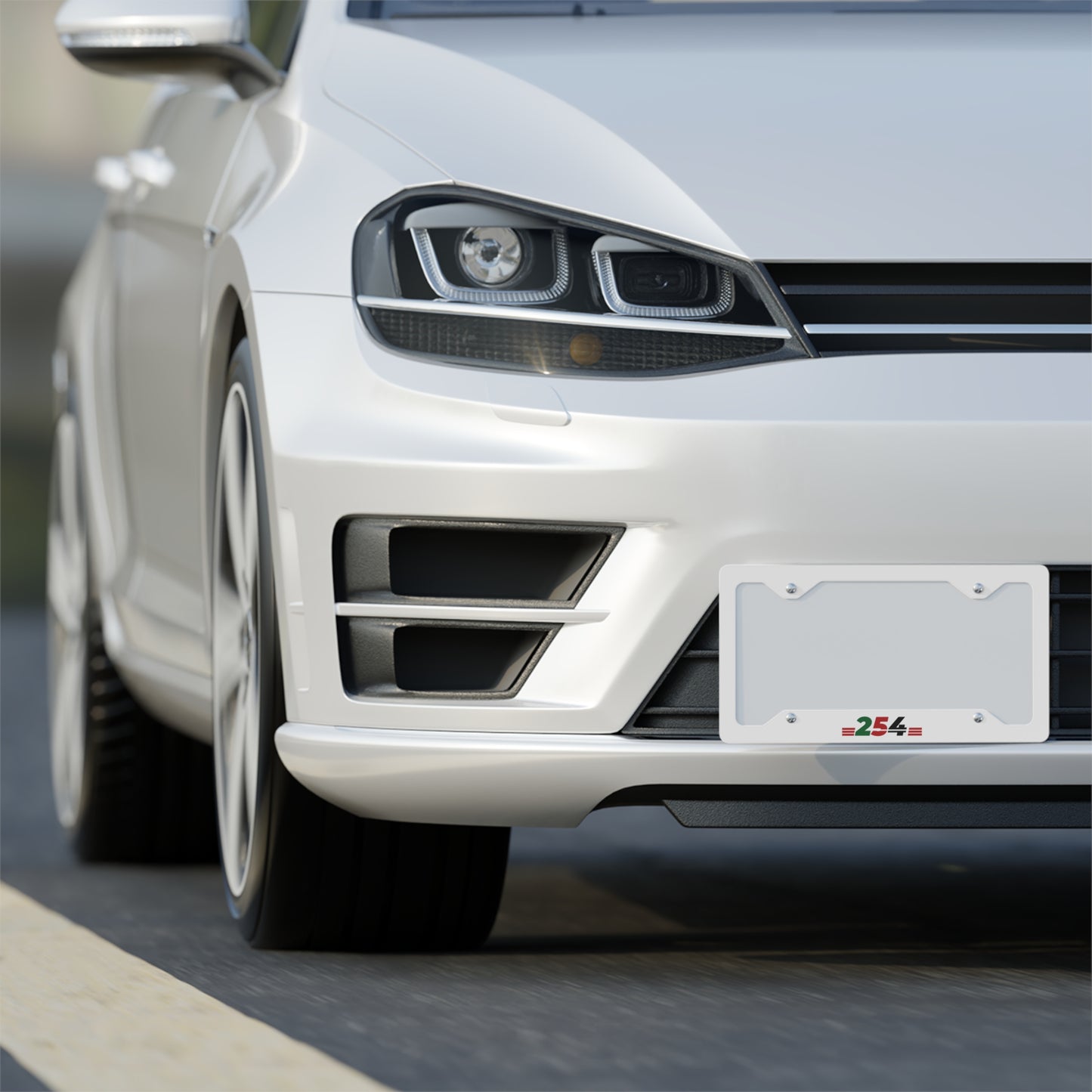 Metal License Plate Frame — Stainless Steel 254 Accent (Red & Green)