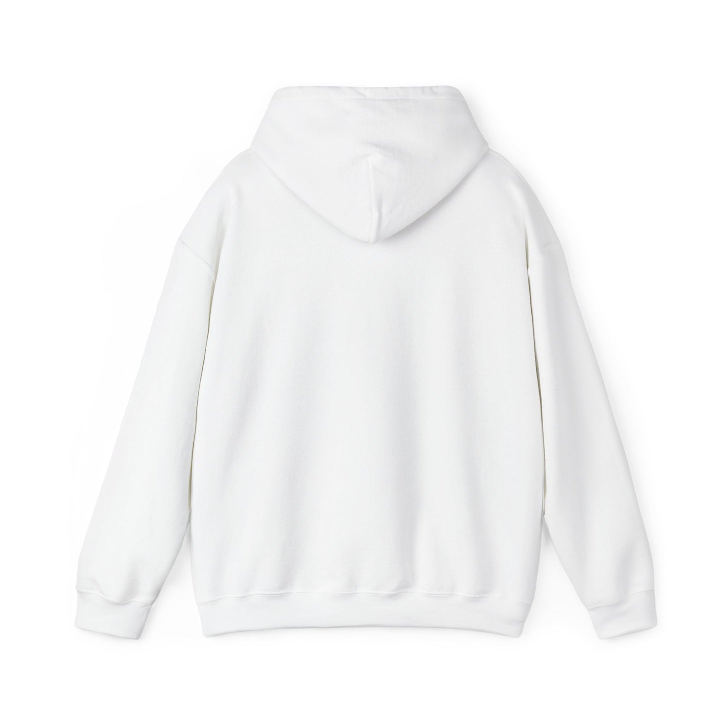 Hoodie — 254 Anniversary Logo Pullover (Kenya Colors)
