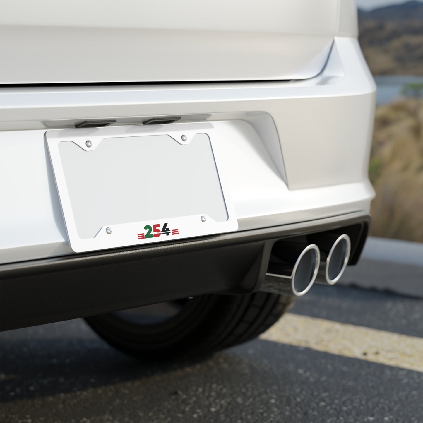 Metal License Plate Frame — Stainless Steel 254 Accent (Red & Green)